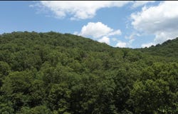 0 Greenbrier Road, Garrison, KY 41141