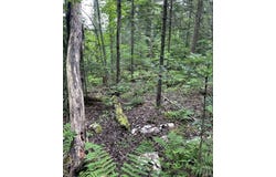 L25 Cleveland Rd Road, Indian Lake, NY 12842