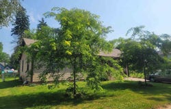 804 Madison, OREGON, IL 61061