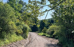 Lot 2 Rt 417, Bolivar, NY 14715