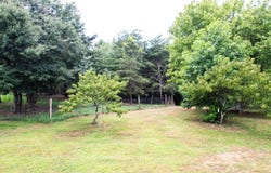 0 Pikes Drive, Trenton, GA 30752