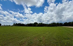 490 Bill Yance Road, Webb, AL 36376