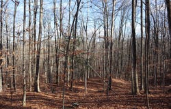 423 Hadley Rd, Stony Creek, NY 12878