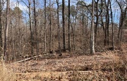 Lot 1 Ealing  CIR, Bella Vista, AR 72714
