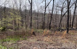 6 Hutchinson  LN, Bella Vista, AR 72715