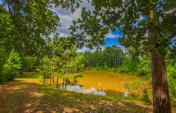10933 County Road 4233, Frankston, TX 75763