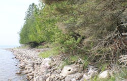 Tbd S S Strach Row, Drummond Island, MI 49726