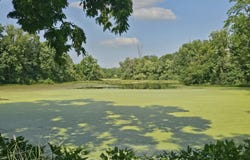 331 N Steer Street, Addison, MI 49220