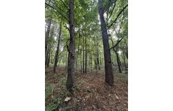 01 MOORE, Holly Springs, MS 38635