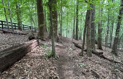 12636 MILL DAM DRIVE, CLIFTON, VA 20124