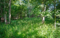 V/L 12A S 168th Avenue, Hesperia, MI 49421