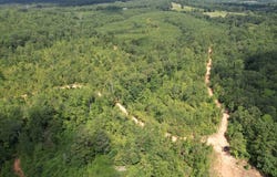 0 County Road 518, Roanoke, AL 36323