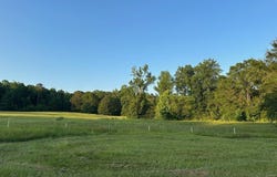 4091 Hollonville Road, Williamson, GA 30292
