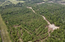 0 Pearce Drive, Richton, MS 39476