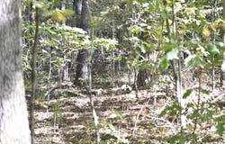 lot 24 GLADYS DRIVE, LAKEVIEW, AL 35111