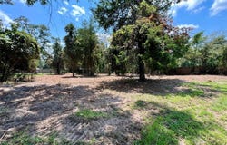 10971 County Road 152, Bullard, TX 75757