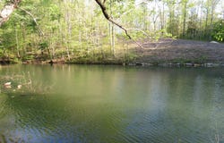 703 Legendary Parkway, Arley, AL 35541