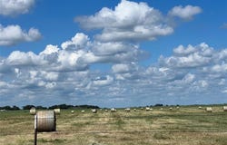 000 Vz County Road 4305, Ben Wheeler, TX 75754