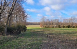0 Bales Rd. (26.5+/- Acres), Middletown, MO 63359