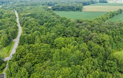 BURNT MILL Road, RIDGELY, MD 21660