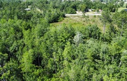 1522 Stone Mill Creek Rd, Wewahitchka, FL 32465