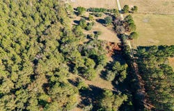 1756 Jacks Branch Rd, Cantonment, FL 32533