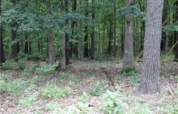 Lot 34, Block 3 Runnymede  LN, Bella Vista, AR 72715