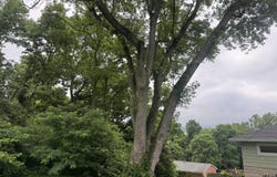 2706 Decoursey Avenue, Covington, KY 41015