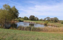 Wild Turkey Road, West Plains, MO 65775