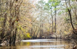 Tillman Eason Road, Claxton, GA 30417
