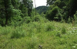 0 Little Elk Hode Road, (D 38 P 137 & D 48 P 341), Warfield, KY 41267