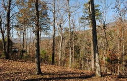 7 Lakeview Drive, Rising Fawn, GA 30738