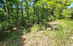 L-13, B-6 Calumet Drive, Cherokee Village, AR 72529