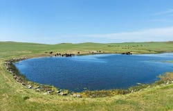 Other, Camp Crook, SD 57724