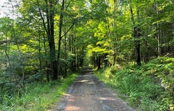 Breesport Road, Erin, NY 14838