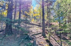 959 Calcite Drive, Divide, CO 80814