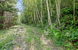 MOUNT REUBEN RD, Glendale, OR 97442