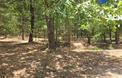 1 VZ County Road 4700, Ben Wheeler, TX 75754