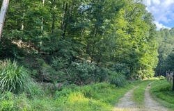 1351  Poca Road, Looneyville25, WV 25259