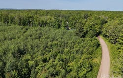 TBDA Nelson, Skanee, MI 49962