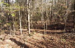 TBD Antioch Cemetery Rd, Provencal, LA 71468