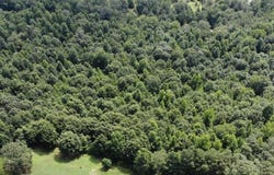 4435 Highway 138, Loganville, GA 30052