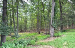 311 AKERN LANE, CROSS JUNCTION, VA 22625