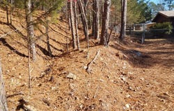 206 Hyacinth Circle, Hot Springs, AR 71913