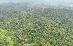 Neff Ridge Road, Marietta, OH 45773