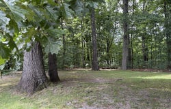 108 Ridgecrest Circle, Rossville, GA 30741
