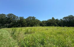 3 Duck Pond, Appomattox, VA 24522