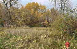 Lot 10 McDonald Drive, Mt Pleasant, MI 48858