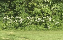 57 Oxford Street, Augusta, ME 04330