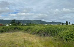 1 Springer ST, Cathlamet, WA 98612